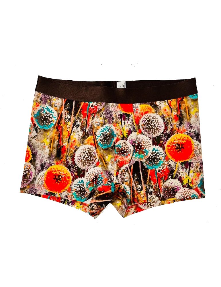 Men's Boxer Briefs - Pusteblumen