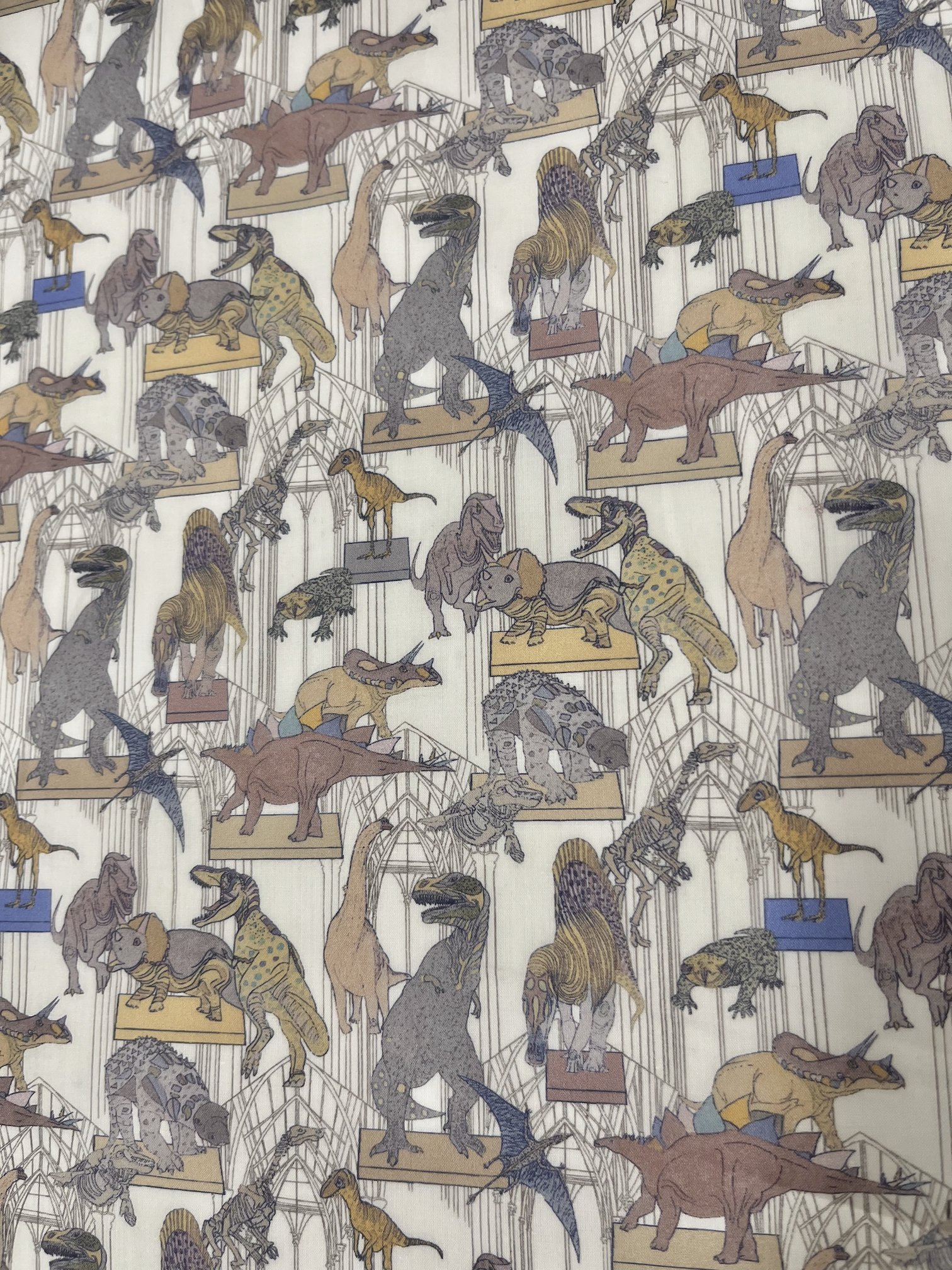 Claws, Roars N Dinosaurs - Organic Tana Lawn