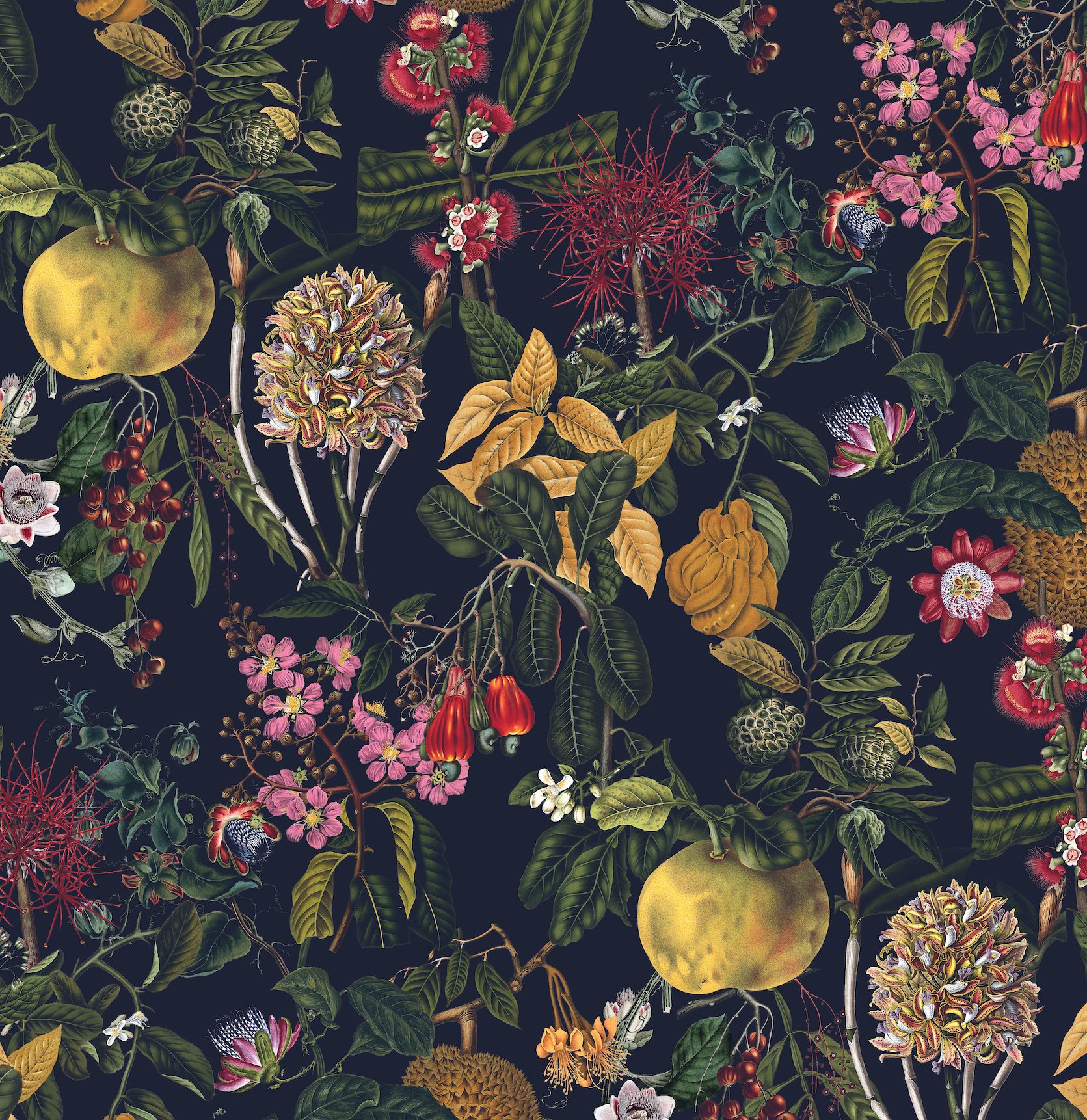 Exotica Swatch Website.jpg