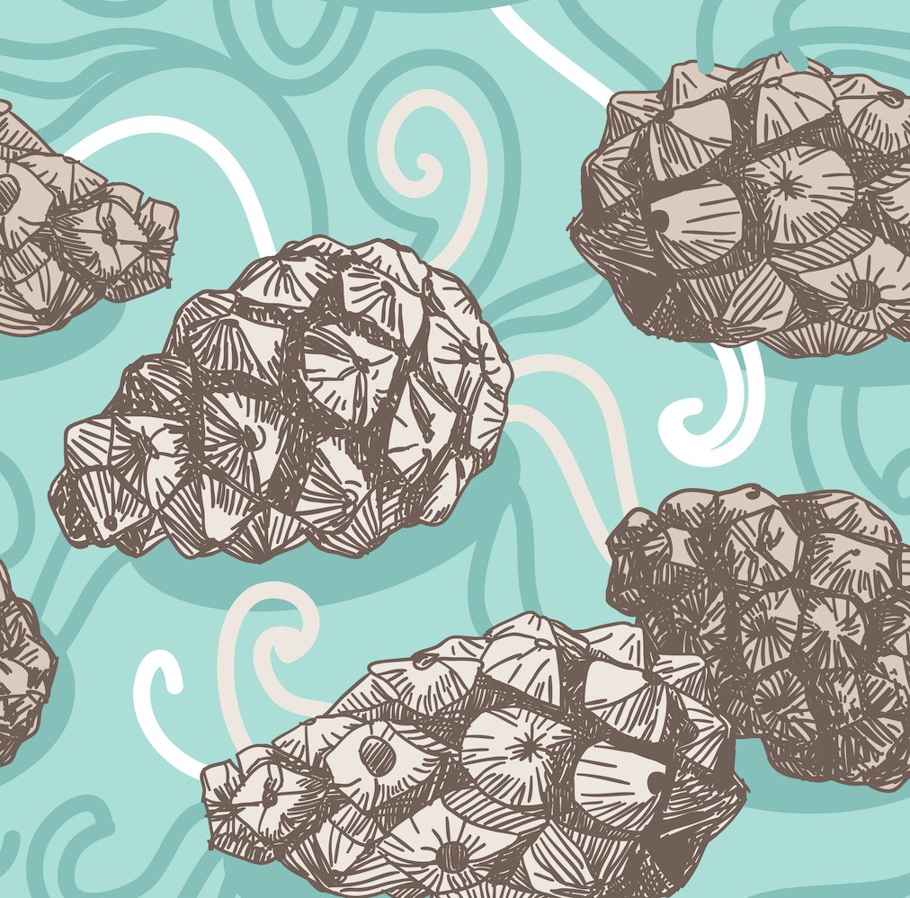 Frosty Pine Swatch website.jpg