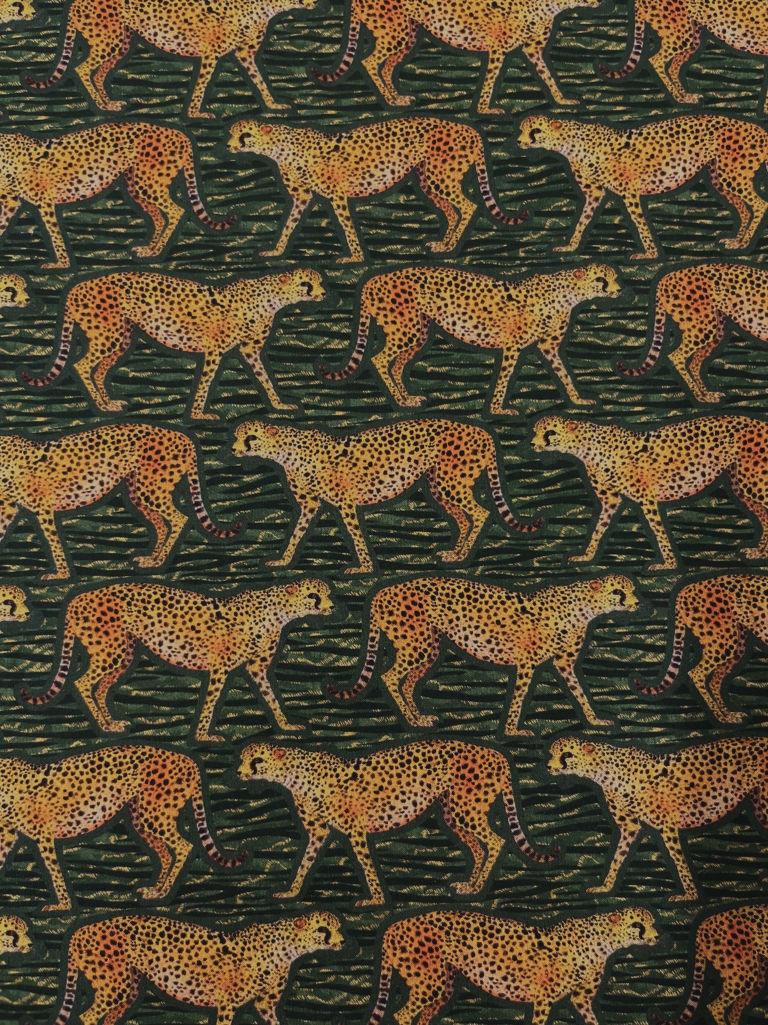 Meet the Cheetahs - Organic Tana Lawn